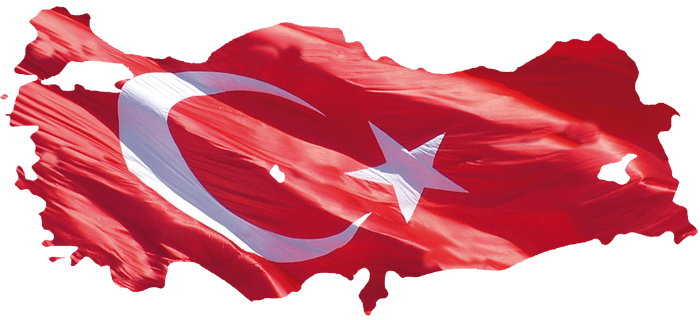 Türkiye’nin Yeni Ekonomik Stratejileri ve Siyasi Yansımaları